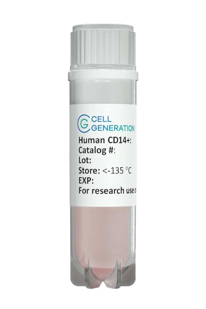 CD14 Monocytes