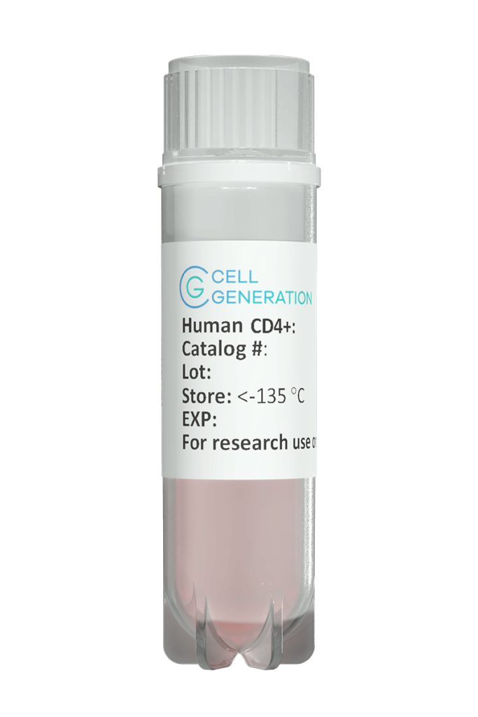 CD4 Helper T cells