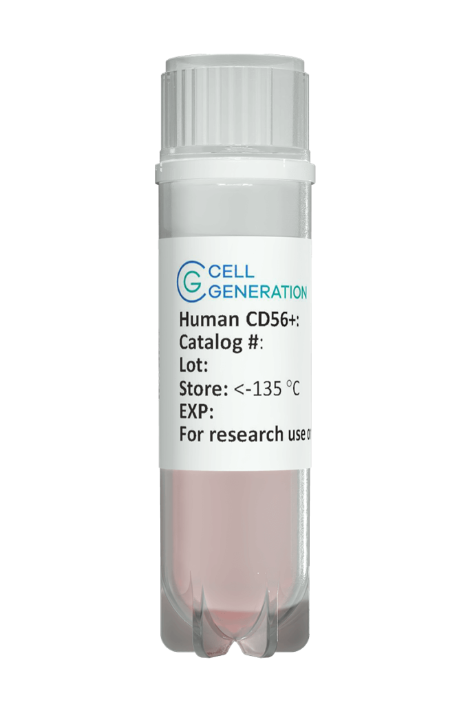 CD56 Natural Killer (NK) Cells