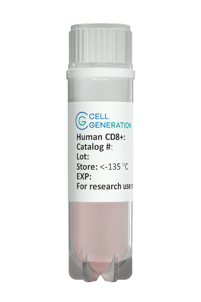 CD8 Cytotoxic T Cells