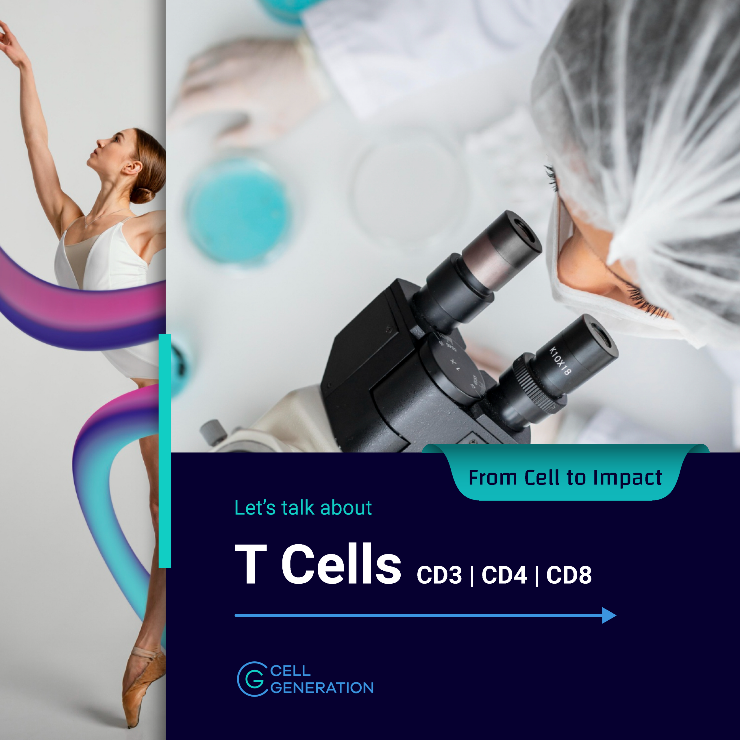 T-cells